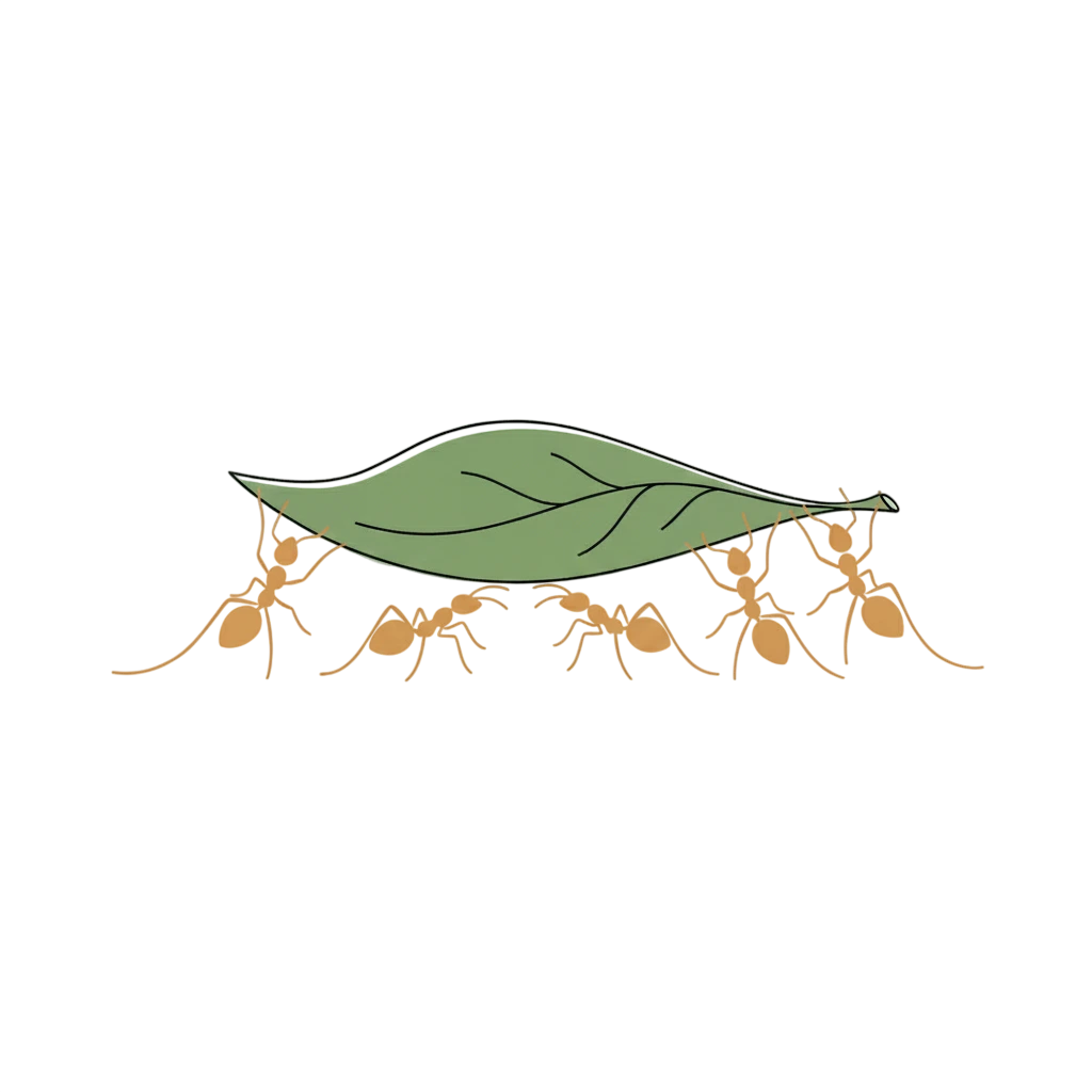 Perfect Example of Team Work